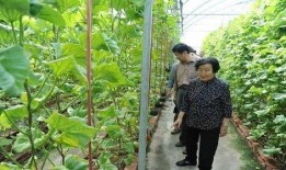 玉林吃瓜最新事件爆料是真的吗,最新爆料真相揭秘