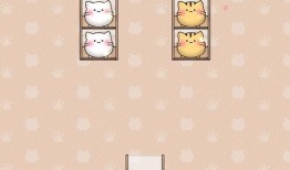 热火爆料小视频下载安装,轻松获取热门内容，畅享娱乐时光