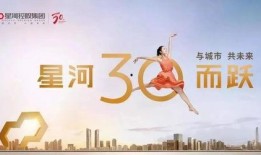 半岛网爆料电话大全最新,揭秘电话大全全攻略